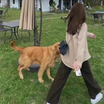 全职高手